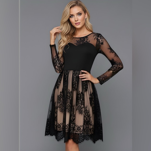 Lace Mesh Sheer Overlay Knee-length Dress Black - Picture 3 of 8